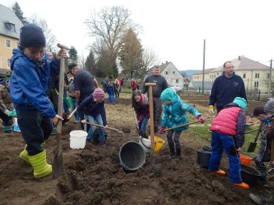 Foto des Albums: Schulgarteneinsatz