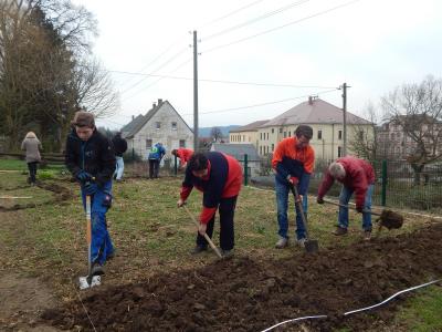 Foto des Albums: Schulgarteneinsatz