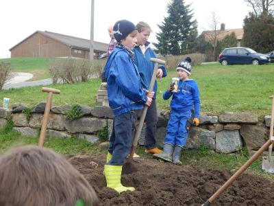 Foto des Albums: Schulgarteneinsatz