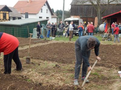 Foto des Albums: Schulgarteneinsatz