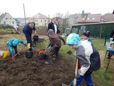 Foto des Albums: Schulgarteneinsatz