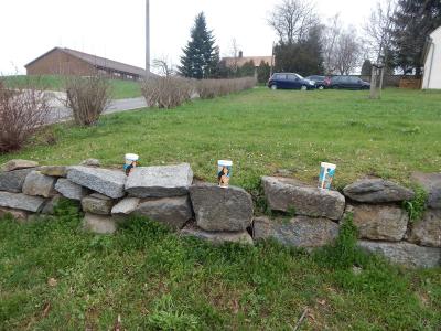 Foto des Albums: Schulgarteneinsatz
