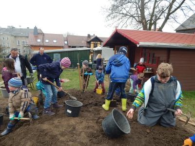 Foto des Albums: Schulgarteneinsatz