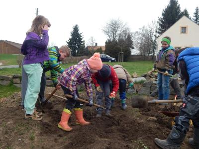 Foto des Albums: Schulgarteneinsatz