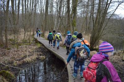 Foto des Albums: Wandertag Waldschule Briesetal Klasse 2c