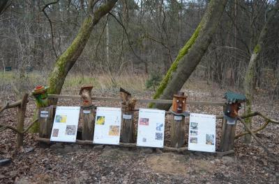 Foto des Albums: Wandertag Waldschule Briesetal Klasse 2c