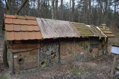 Foto des Albums: Wandertag Waldschule Briesetal Klasse 2c