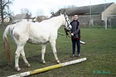 Foto des Albums: Jungzüchter-Vereinsmeisterschaft auf der Ponyfarm Gutengermendorf (26.03.2016)