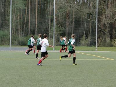 Foto des Albums: Birkenwerder BC - Häsener SV