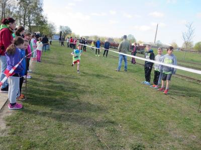 Foto des Albums: Crosslauf Mildenberg