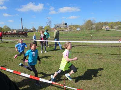 Foto des Albums: Crosslauf Mildenberg