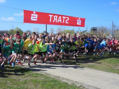 Foto des Albums: Crosslauf Mildenberg