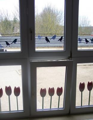 Foto des Albums: Den Frühling entdecken!