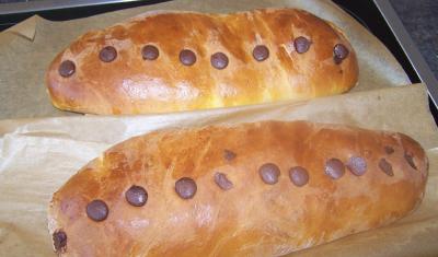 Foto des Albums: Den Frühling entdecken!