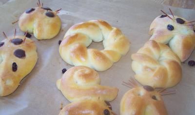 Foto des Albums: Den Frühling entdecken!