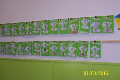 Foto des Albums: Den Frühling entdecken!