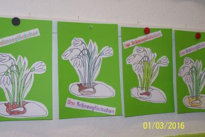 Foto des Albums: Den Frühling entdecken!