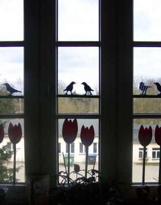 Foto des Albums: Den Frühling entdecken!