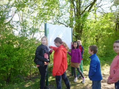 Foto des Albums: Naturlehrpfad