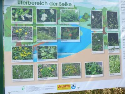 Foto des Albums: Naturlehrpfad