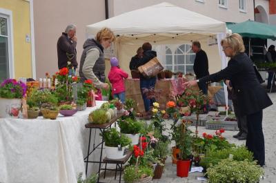 Foto des Albums: Maimarkt 2016