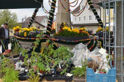 Foto des Albums: Maimarkt 2016