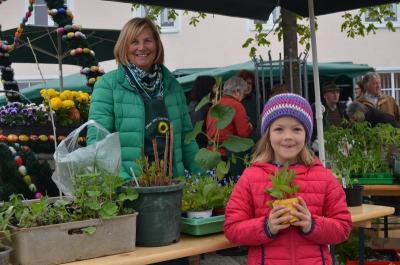 Foto des Albums: Maimarkt 2016