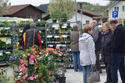 Foto des Albums: Maimarkt 2016