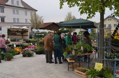 Foto des Albums: Maimarkt 2016