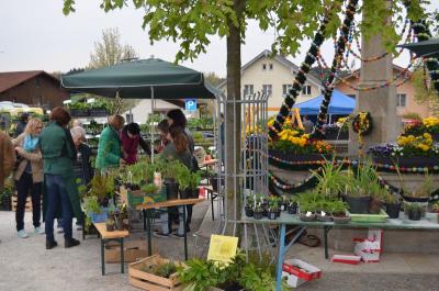 Foto des Albums: Maimarkt 2016