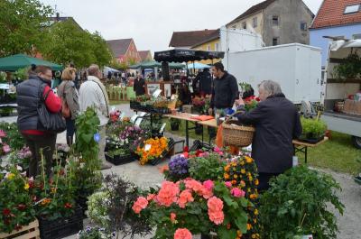 Foto des Albums: Maimarkt 2016