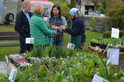 Foto des Albums: Maimarkt 2016