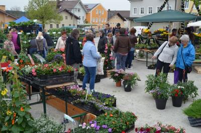 Foto des Albums: Maimarkt 2016