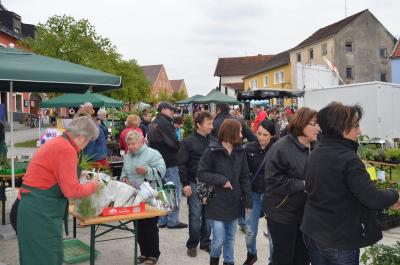 Foto des Albums: Maimarkt 2016