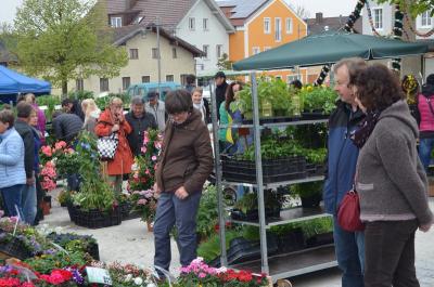 Foto des Albums: Maimarkt 2016
