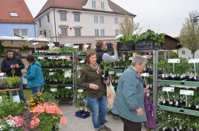 Foto des Albums: Maimarkt 2016