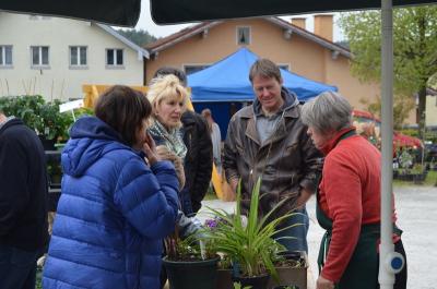 Foto des Albums: Maimarkt 2016