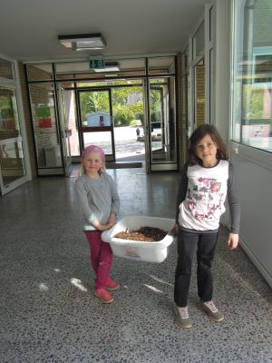 Foto des Albums: Aktionstag Fühlpfad