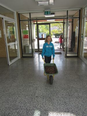 Foto des Albums: Aktionstag Fühlpfad