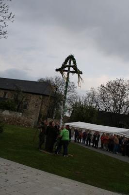 Foto des Albums: Maibaum setzen OT Frose