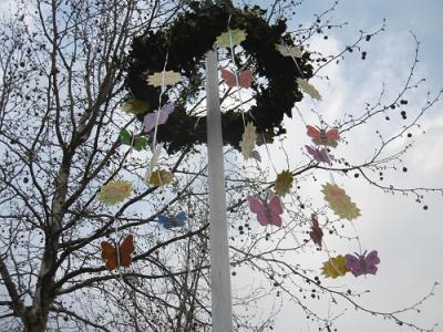 Foto des Albums: Maibaum setzen im OT Schadeleben