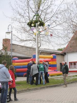 Foto des Albums: Maibaum setzen im OT Schadeleben