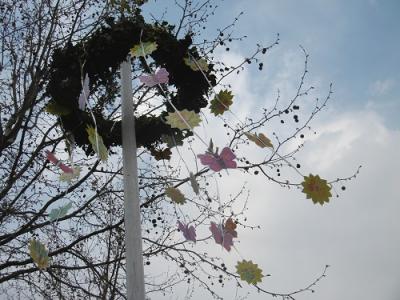Foto des Albums: Maibaum setzen im OT Schadeleben