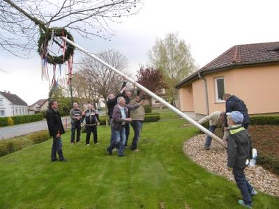 Foto des Albums: Maibaum setzen OT Friedrichsaue