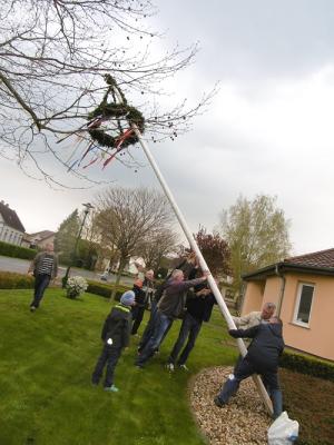 Foto des Albums: Maibaum setzen OT Friedrichsaue