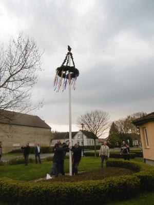 Foto des Albums: Maibaum setzen OT Friedrichsaue