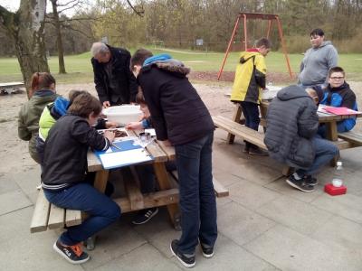 Foto des Albums: Frühling im Wald