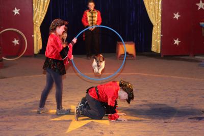 Foto des Albums: Zirkus Projekt 2016 - Vielen Dank an M. Hild für die tollen Fotos.