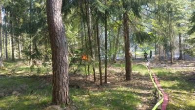Foto des Albums: B- Wald Einsatz Nr. 51-771