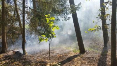 Foto des Albums: B- Wald Einsatz Nr. 51-771
